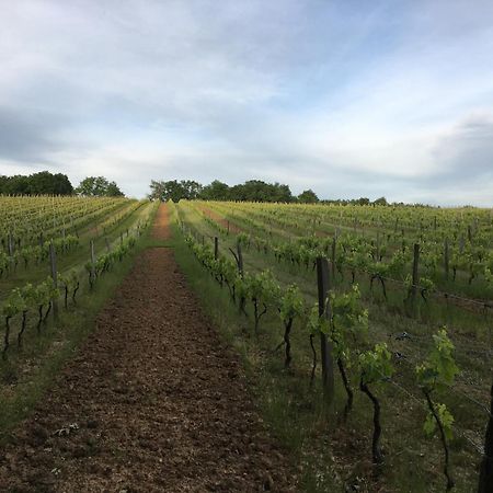 Chateau Masburel Fougueyrolles Bagian luar foto