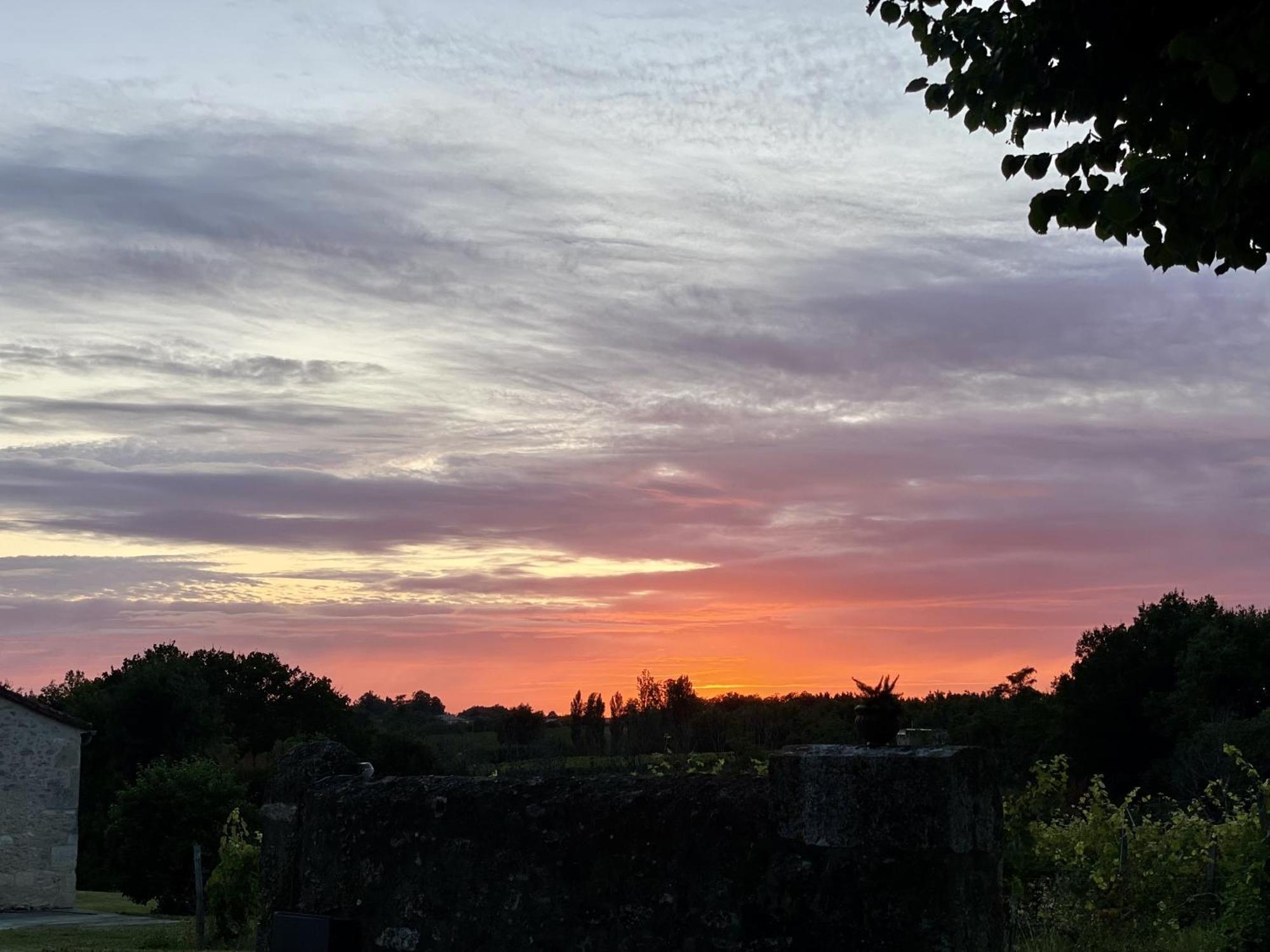 Chateau Masburel Fougueyrolles Bagian luar foto